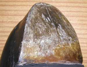 Fiberglas-Tip, 2002