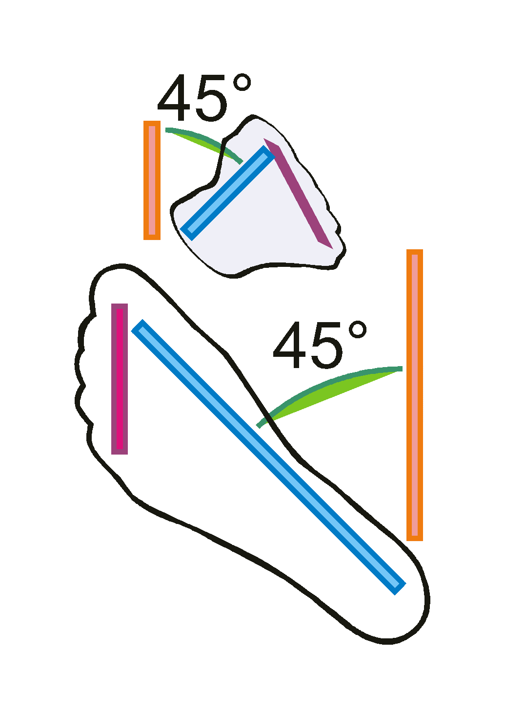 Front Raise Position