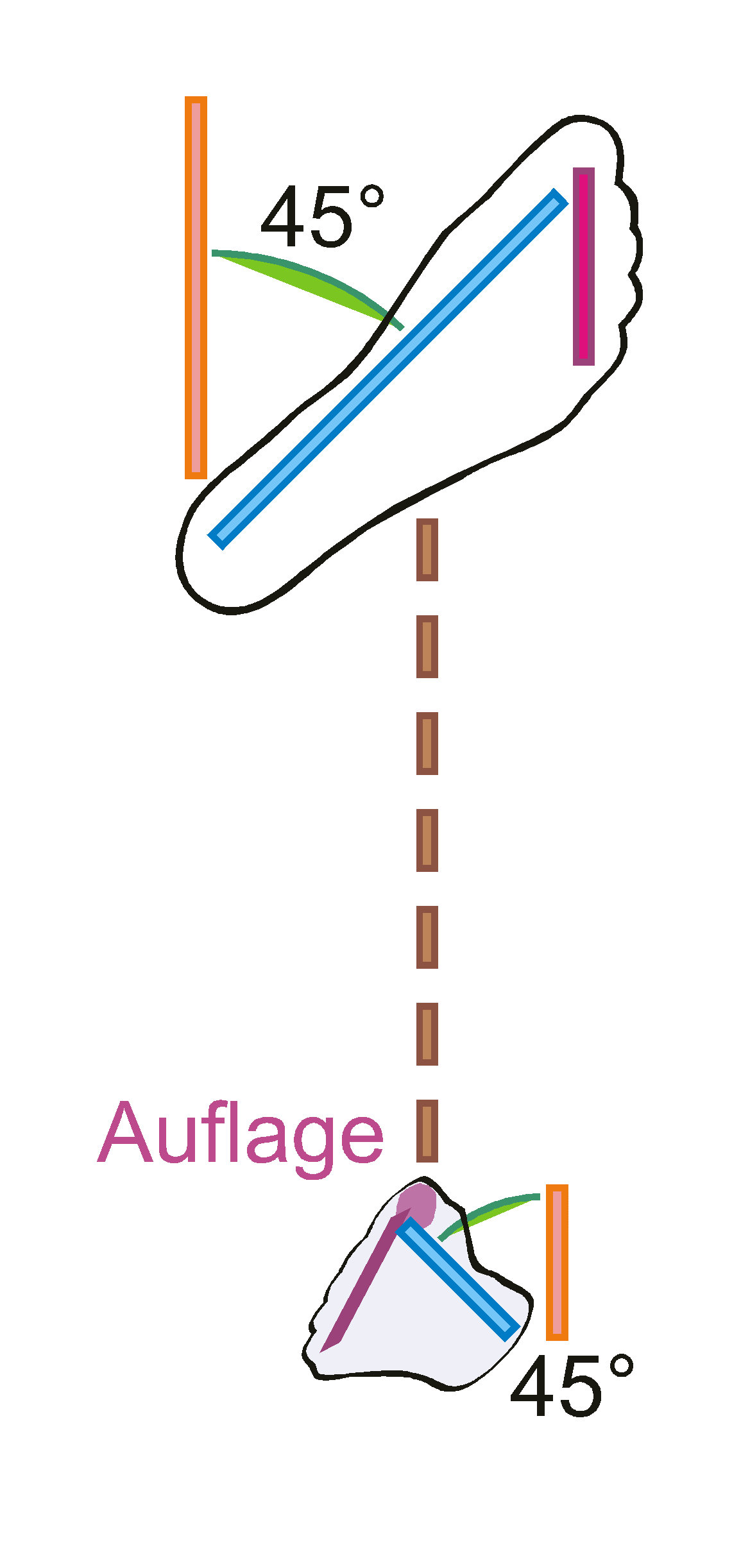 Rear Point Position
